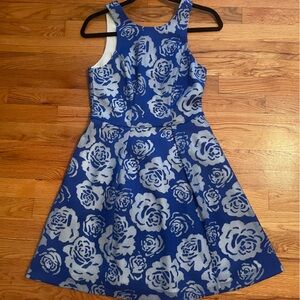 Yoanna Baraschi Blue Rose Dress